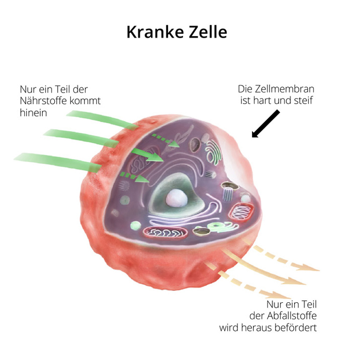 Grafik kranke Zelle